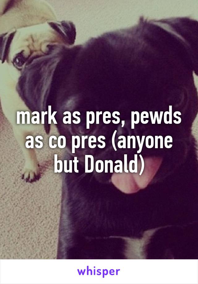 mark as pres, pewds as co pres (anyone but Donald)