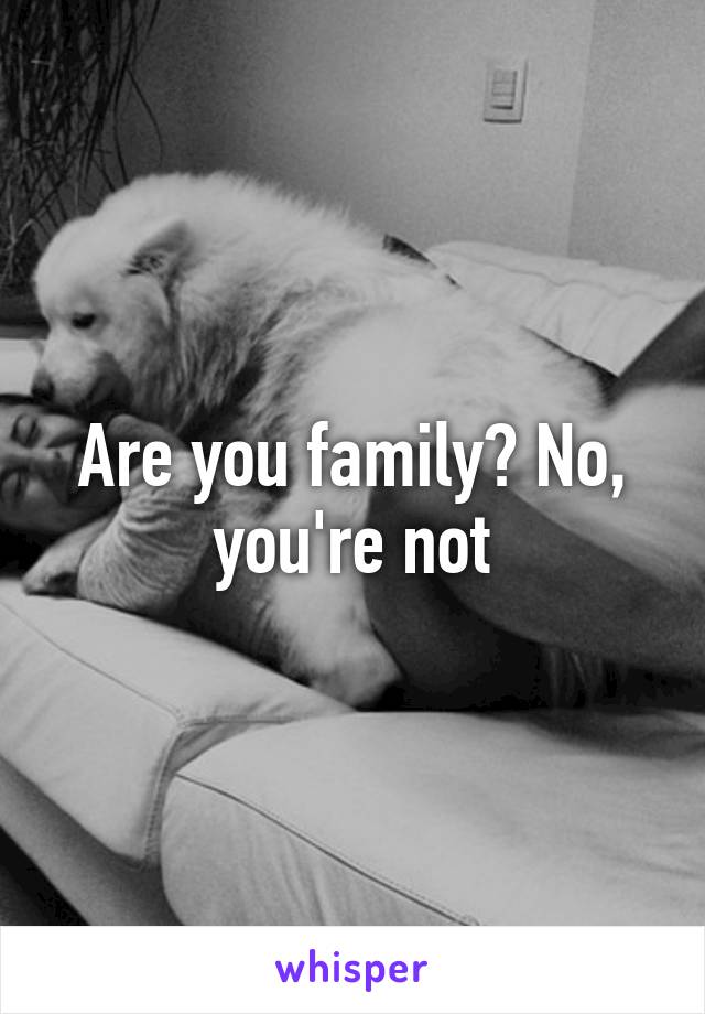 Are you family? No, you're not
