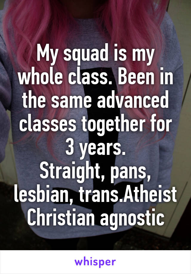 My squad is my whole class. Been in the same advanced classes together for 3 years.
Straight, pans, lesbian, trans.Atheist Christian agnostic