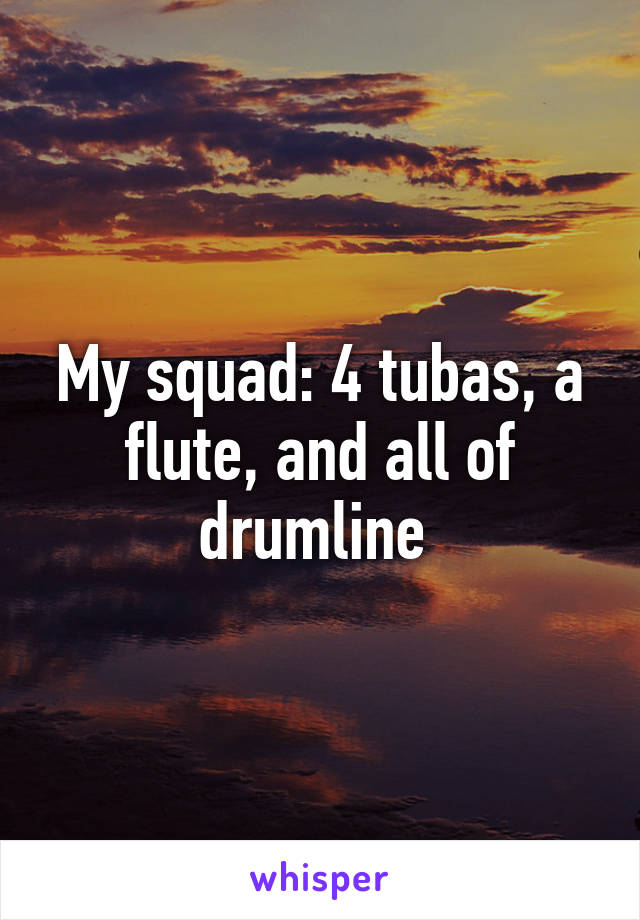 My squad: 4 tubas, a flute, and all of drumline 