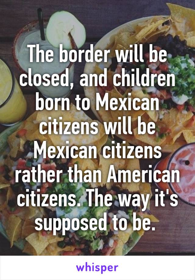 The border will be closed, and children born to Mexican citizens will be Mexican citizens rather than American citizens. The way it's supposed to be. 