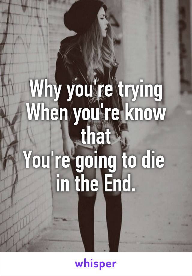 Why you're trying
When you're know that
You're going to die 
in the End.