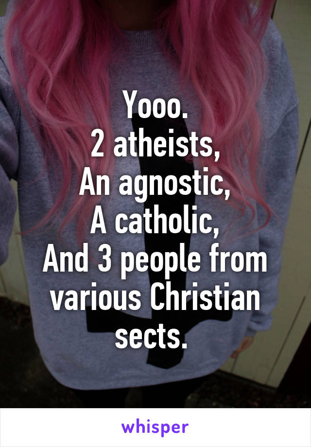 Yooo.
2 atheists,
An agnostic,
A catholic,
And 3 people from various Christian sects. 