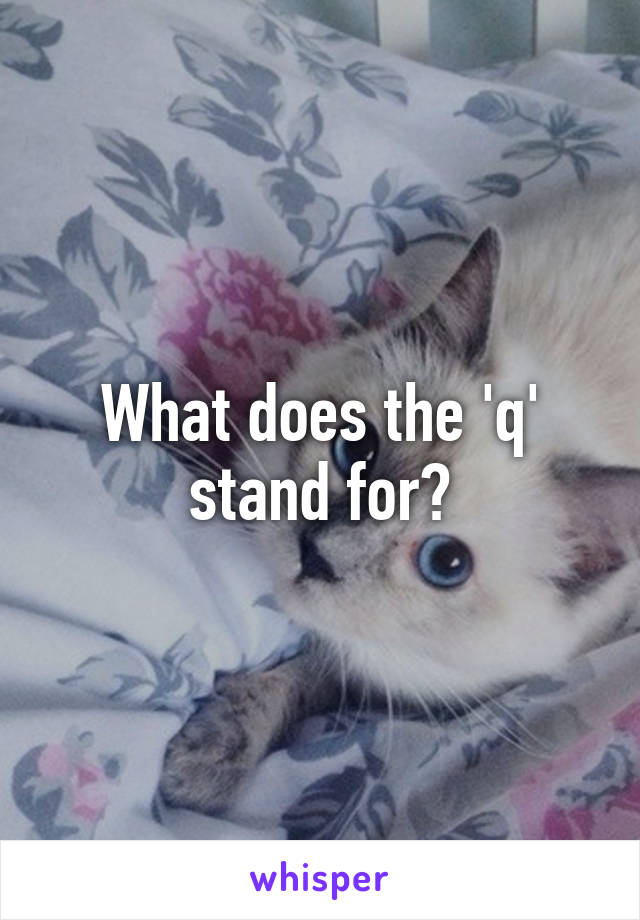 what-does-the-q-stand-for