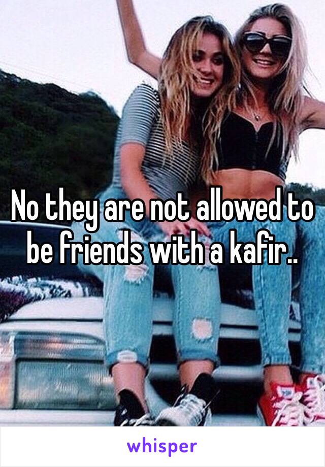 No they are not allowed to be friends with a kafir..