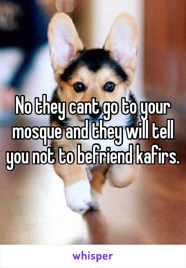 No they cant go to your mosque and they will tell you not to befriend kafirs. 