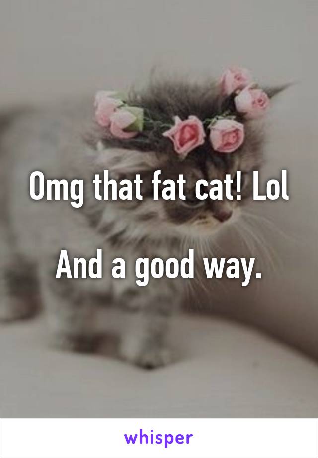 Omg that fat cat! Lol

And a good way.