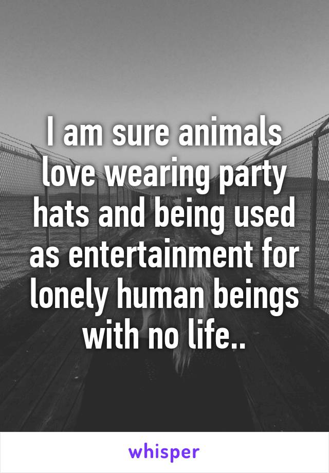 I am sure animals love wearing party hats and being used as entertainment for lonely human beings with no life..