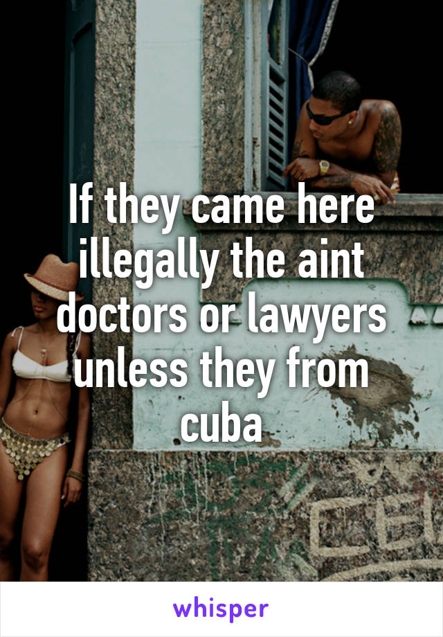 If they came here illegally the aint doctors or lawyers unless they from cuba