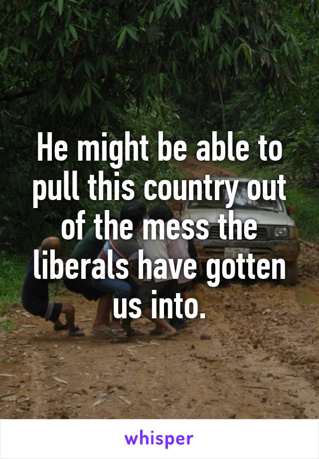 He might be able to pull this country out of the mess the liberals have gotten us into.