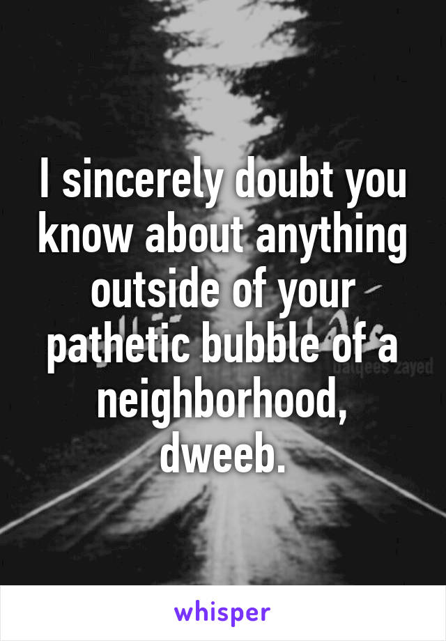 I sincerely doubt you know about anything outside of your pathetic bubble of a neighborhood, dweeb.