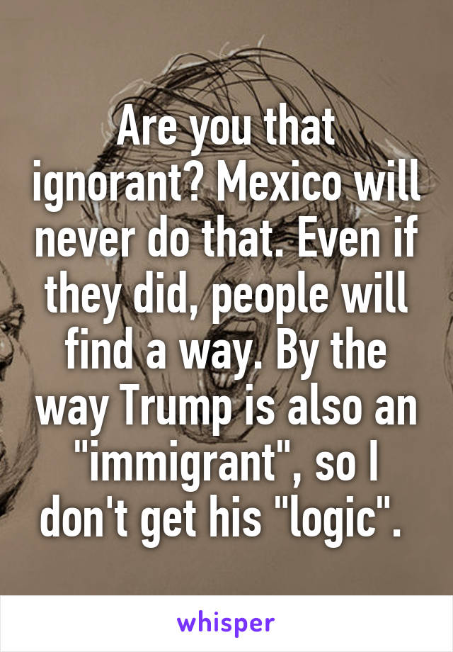 Are you that ignorant? Mexico will never do that. Even if they did, people will find a way. By the way Trump is also an "immigrant", so I don't get his "logic". 