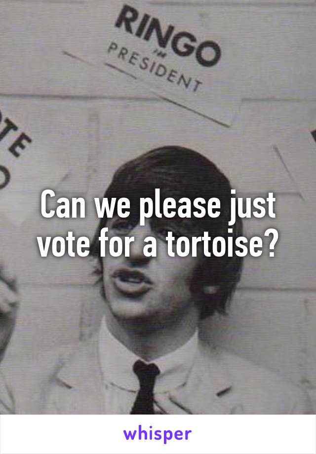 Can we please just vote for a tortoise?