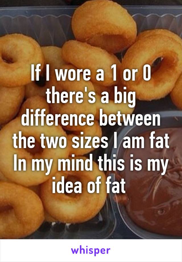 If I wore a 1 or 0 there's a big difference between the two sizes I am fat In my mind this is my idea of fat 