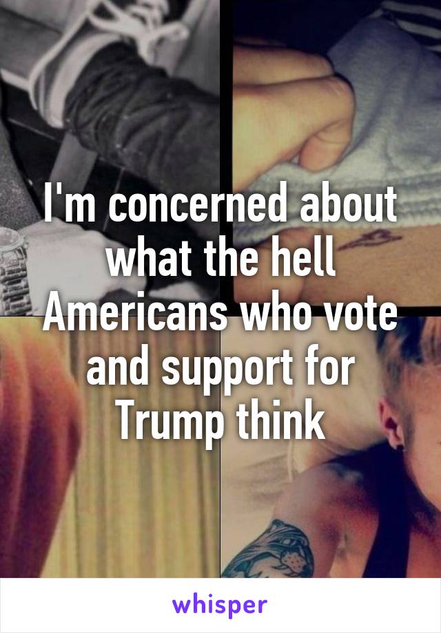 I'm concerned about what the hell Americans who vote and support for Trump think