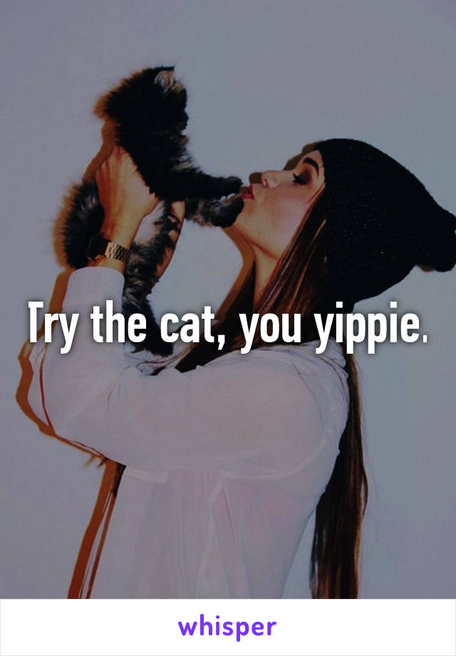 Try the cat, you yippie.