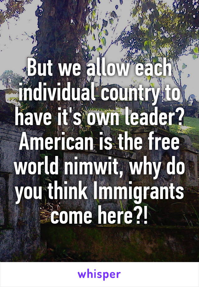 But we allow each individual country to have it's own leader? American is the free world nimwit, why do you think Immigrants come here?!