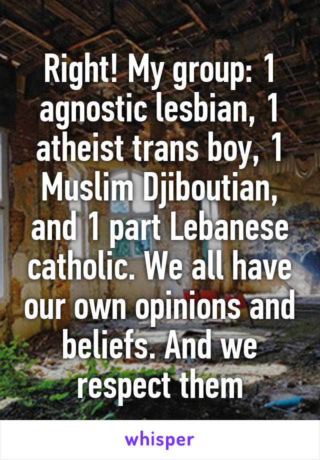 Right! My group: 1 agnostic lesbian, 1 atheist trans boy, 1 Muslim Djiboutian, and 1 part Lebanese catholic. We all have our own opinions and beliefs. And we respect them