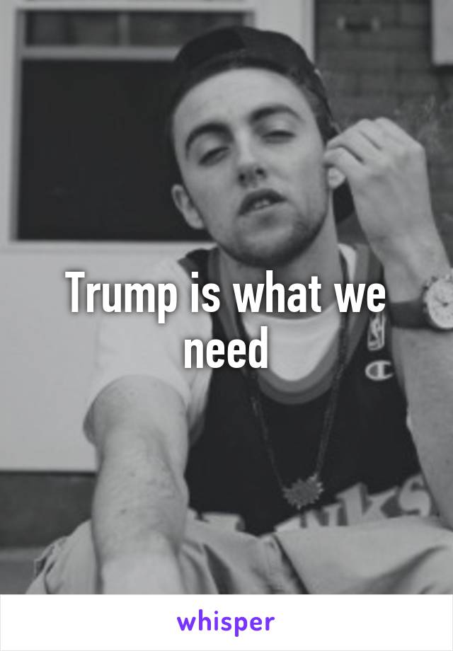 Trump is what we need