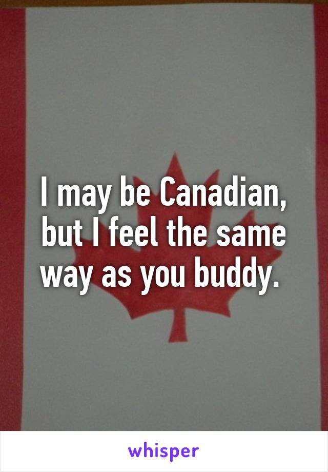 I may be Canadian, but I feel the same way as you buddy. 