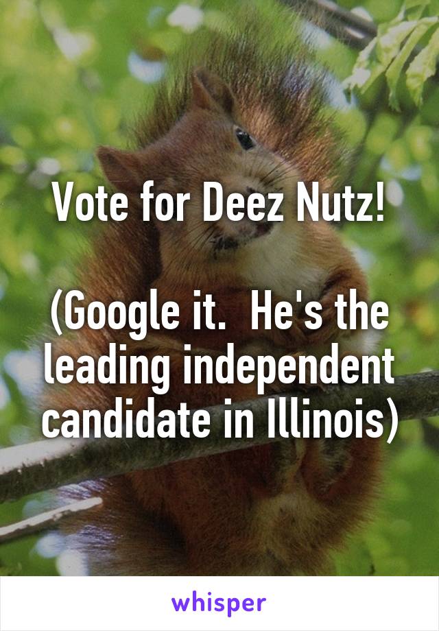 Vote for Deez Nutz!

(Google it.  He's the leading independent candidate in Illinois)