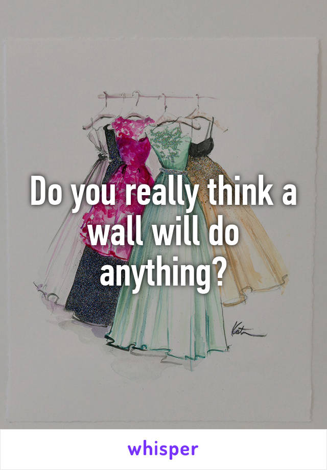 Do you really think a wall will do anything?