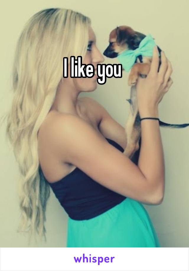 I like you 