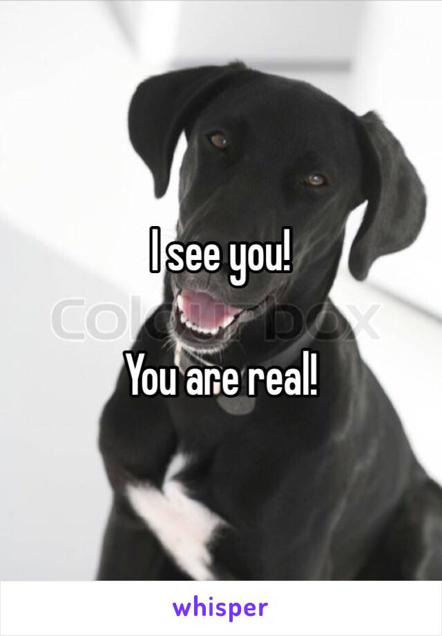 I see you!

You are real!
