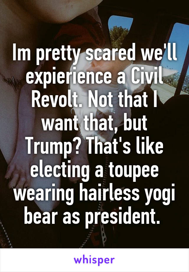 Im pretty scared we'll expierience a Civil Revolt. Not that I want that, but Trump? That's like electing a toupee wearing hairless yogi bear as president. 