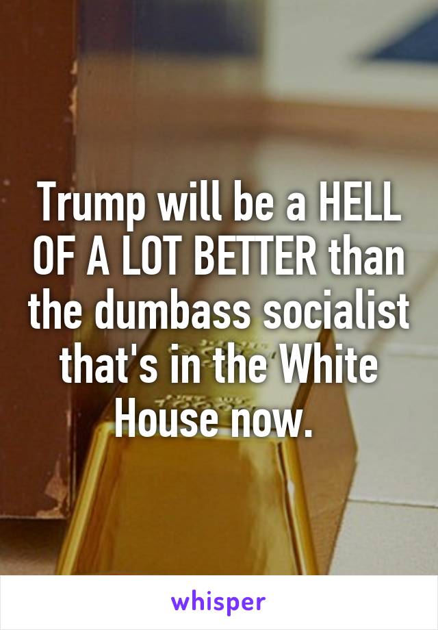 Trump will be a HELL OF A LOT BETTER than the dumbass socialist that's in the White House now. 