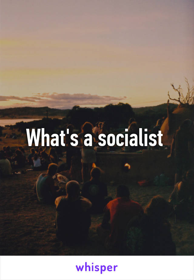 What's a socialist 