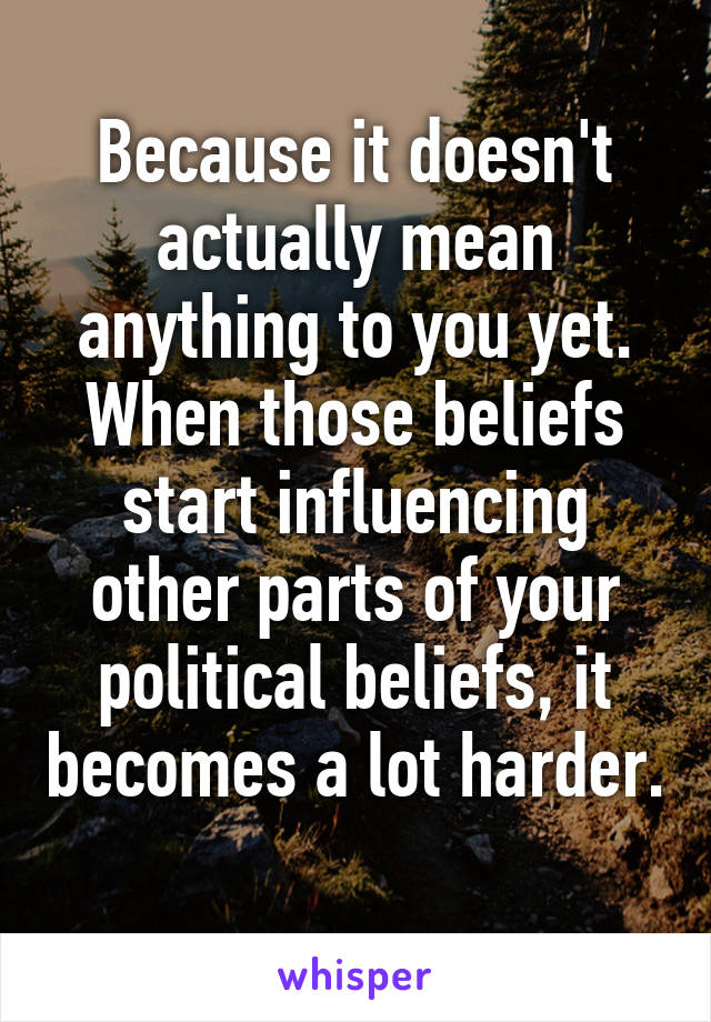 Because it doesn't actually mean anything to you yet. When those beliefs start influencing other parts of your political beliefs, it becomes a lot harder. 