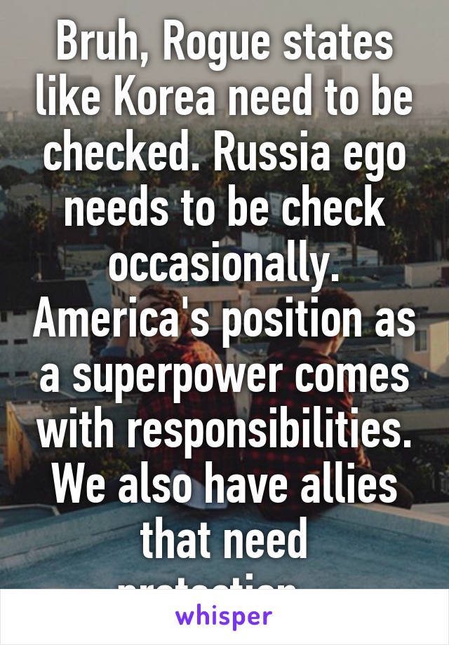 Bruh, Rogue states like Korea need to be checked. Russia ego needs to be check occasionally. America's position as a superpower comes with responsibilities. We also have allies that need protection...