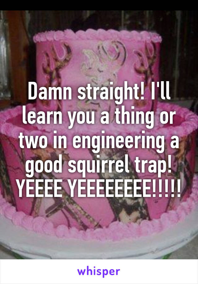 Damn straight! I'll learn you a thing or two in engineering a good squirrel trap! YEEEE YEEEEEEEE!!!!!