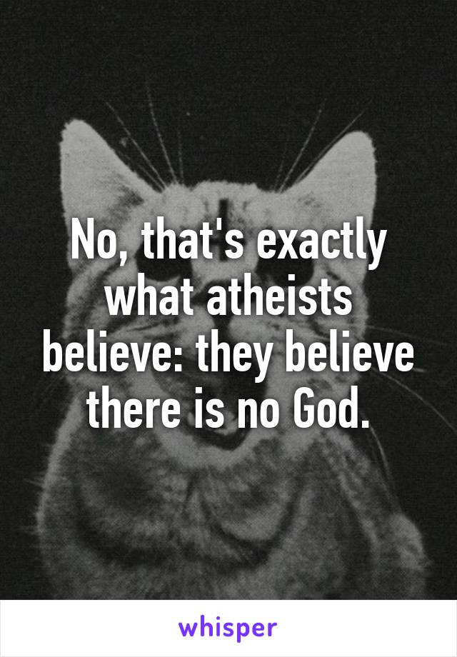 No, that's exactly what atheists believe: they believe there is no God.