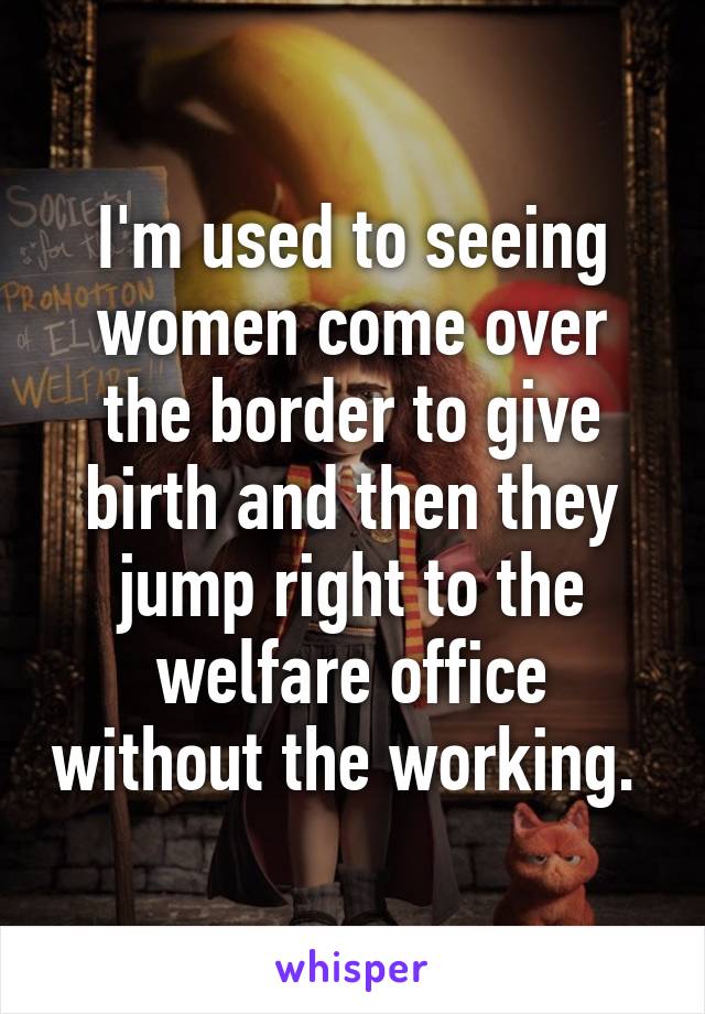 I'm used to seeing women come over the border to give birth and then they jump right to the welfare office without the working. 