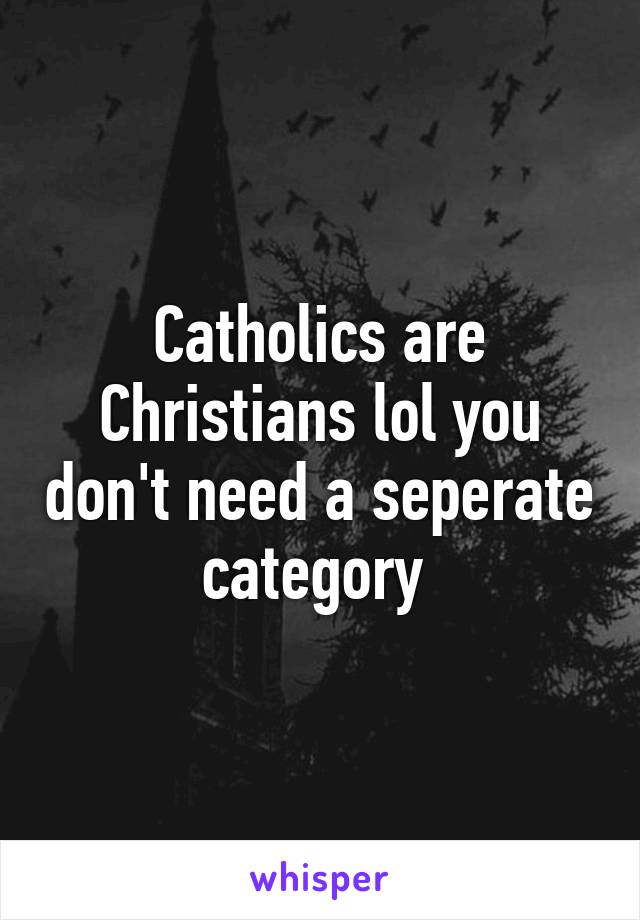 Catholics are Christians lol you don't need a seperate category 