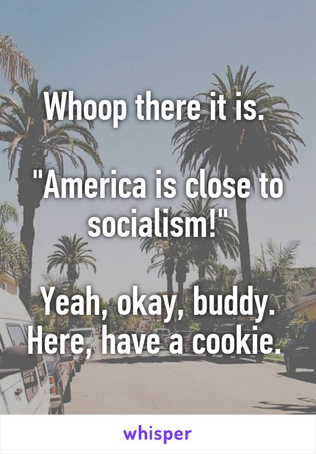 Whoop there it is. 

"America is close to socialism!"

Yeah, okay, buddy. Here, have a cookie. 