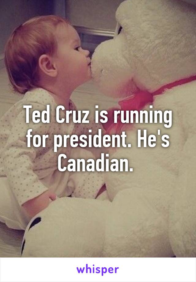 Ted Cruz is running for president. He's Canadian. 