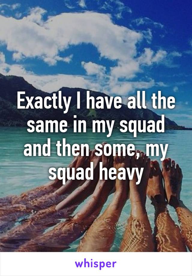 Exactly I have all the same in my squad and then some, my squad heavy