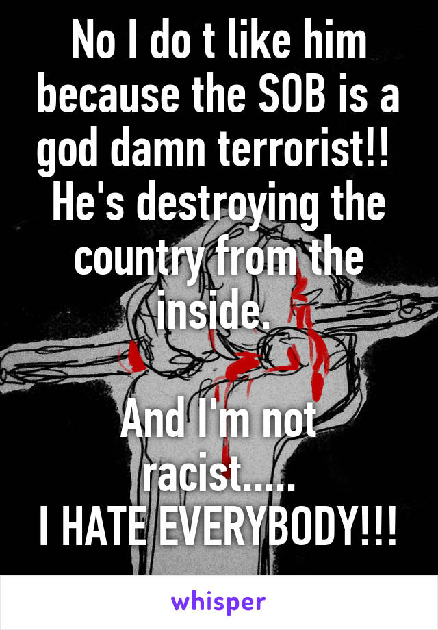 No I do t like him because the SOB is a god damn terrorist!!  He's destroying the country from the inside. 

And I'm not racist.....
I HATE EVERYBODY!!!  