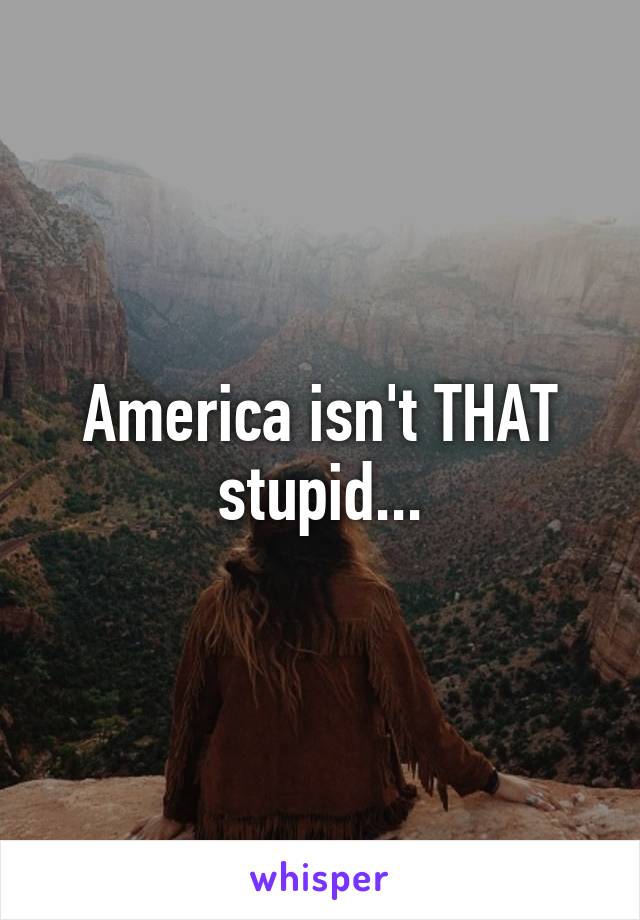 America isn't THAT stupid...