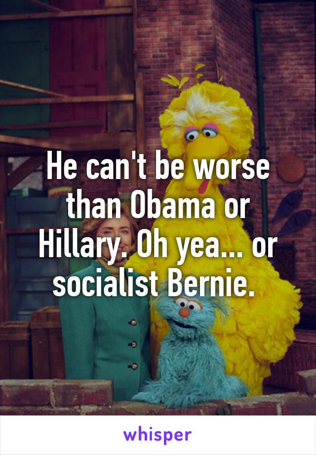 He can't be worse than Obama or Hillary. Oh yea... or socialist Bernie. 