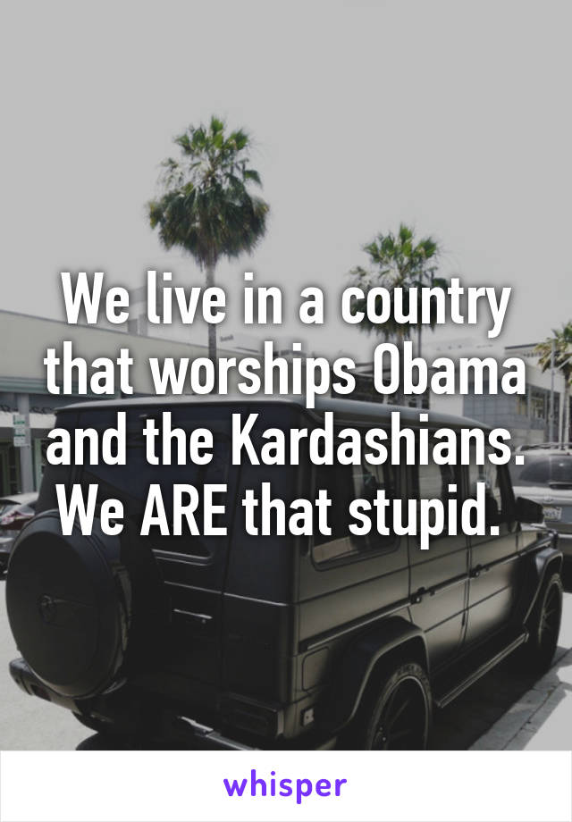 We live in a country that worships Obama and the Kardashians. We ARE that stupid. 