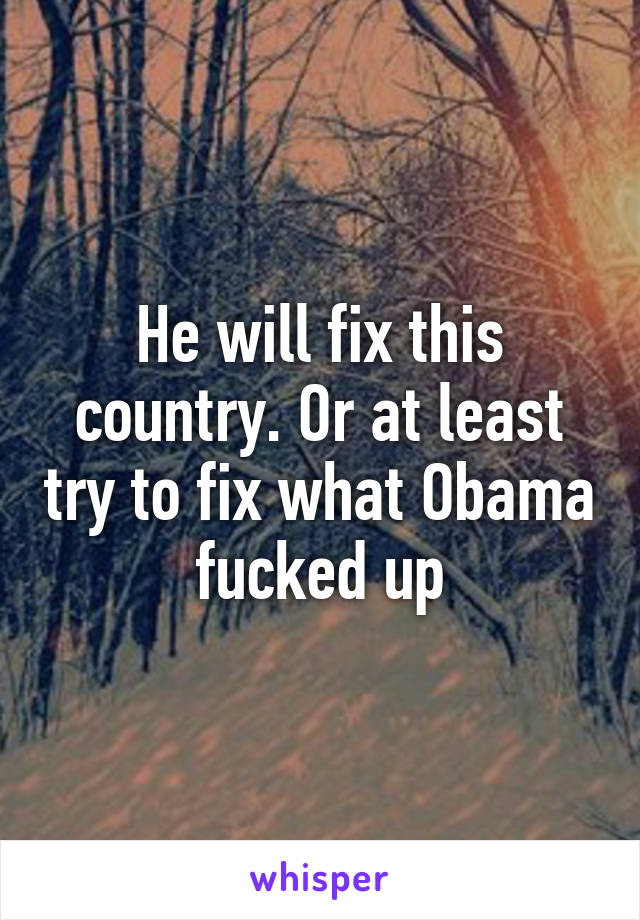 He will fix this country. Or at least try to fix what Obama fucked up