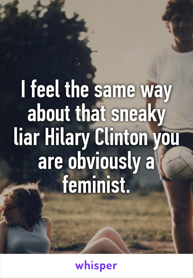 I feel the same way about that sneaky liar Hilary Clinton you are obviously a feminist.