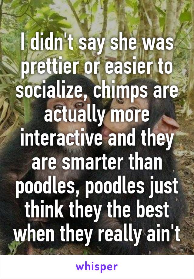 I didn't say she was prettier or easier to socialize, chimps are actually more interactive and they are smarter than poodles, poodles just think they the best when they really ain't