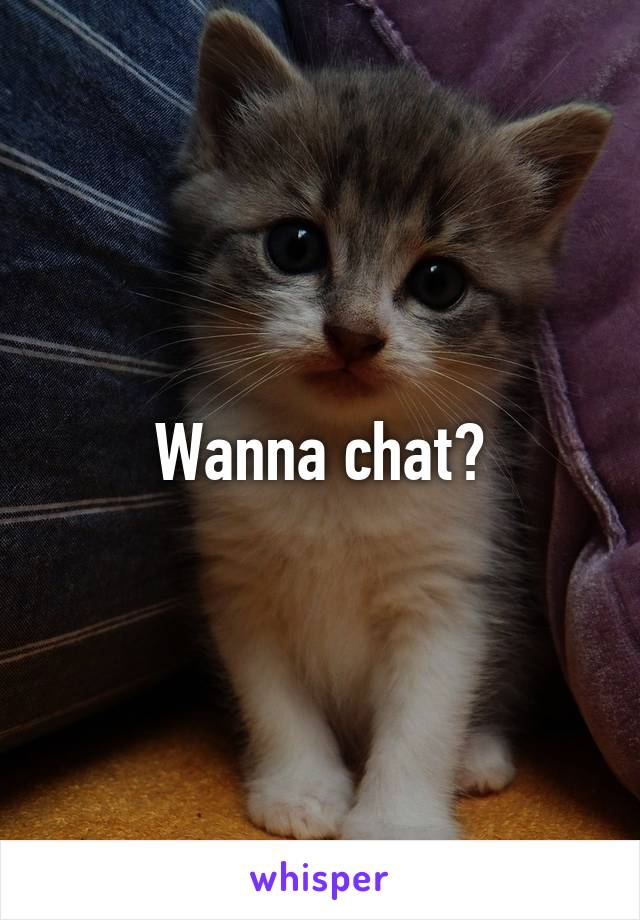 Wanna chat?