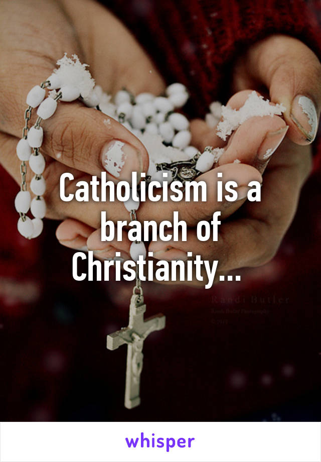 Catholicism is a branch of Christianity... 