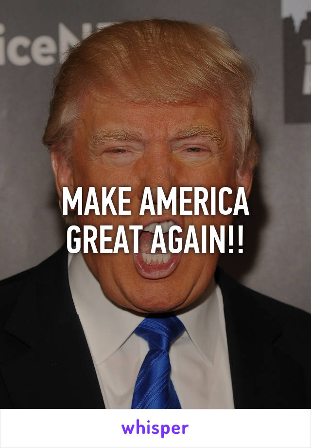 MAKE AMERICA GREAT AGAIN!!